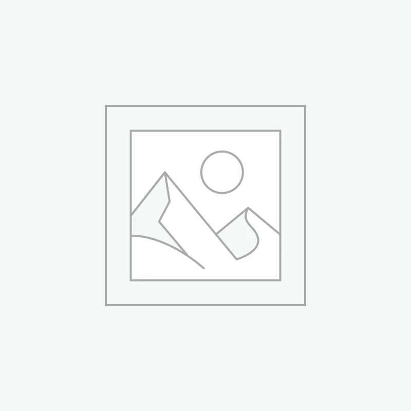 Studio Ghibli Characters Vintage Hoodie T-shirt Sweatshirt